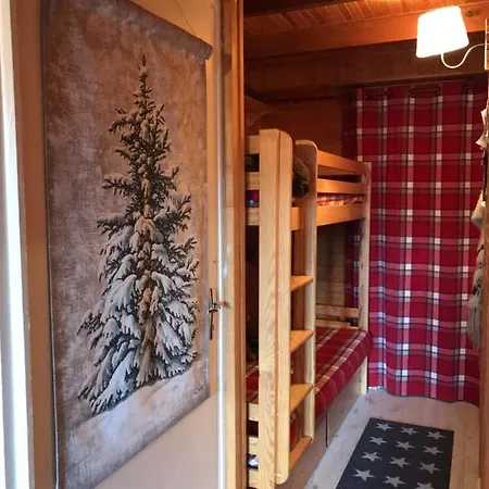 Grand Studio-mezzanine Centre Station De Ski La Foux D’allos Appartement