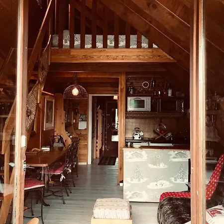 Grand Studio-mezzanine Centre Station De Ski La Foux D’allos Appartement
